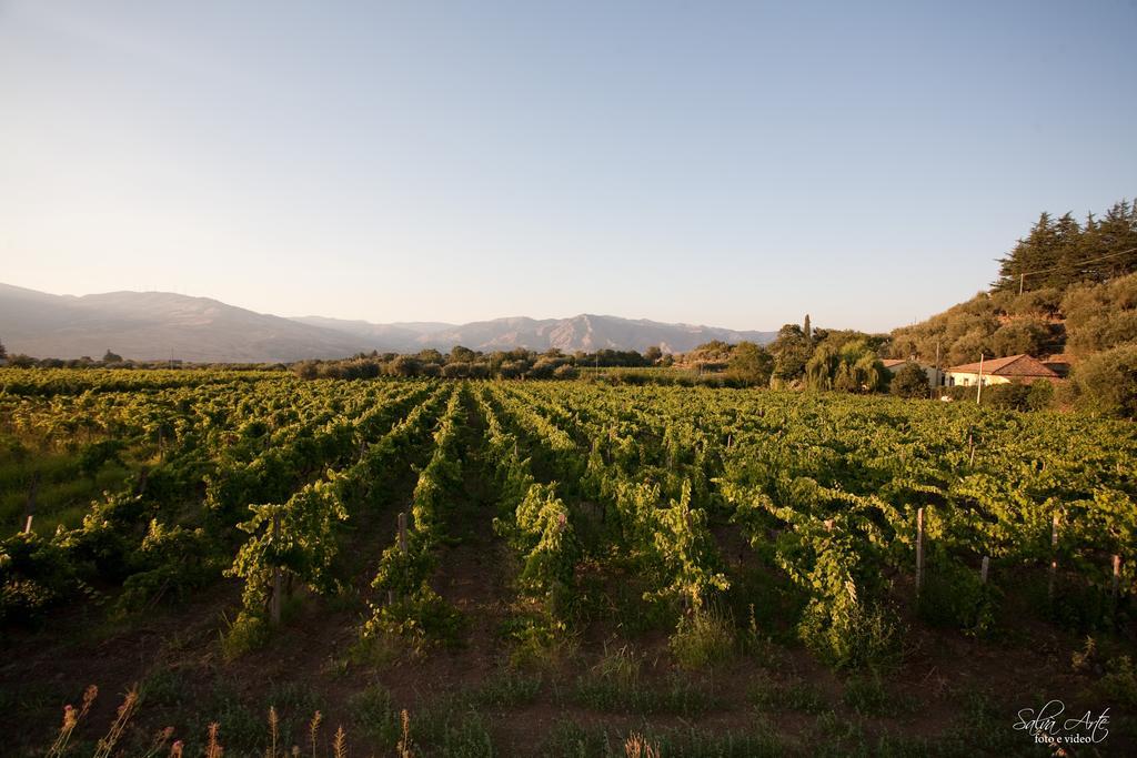 L'Antica Vigna Villa Randazzo Kültér fotó